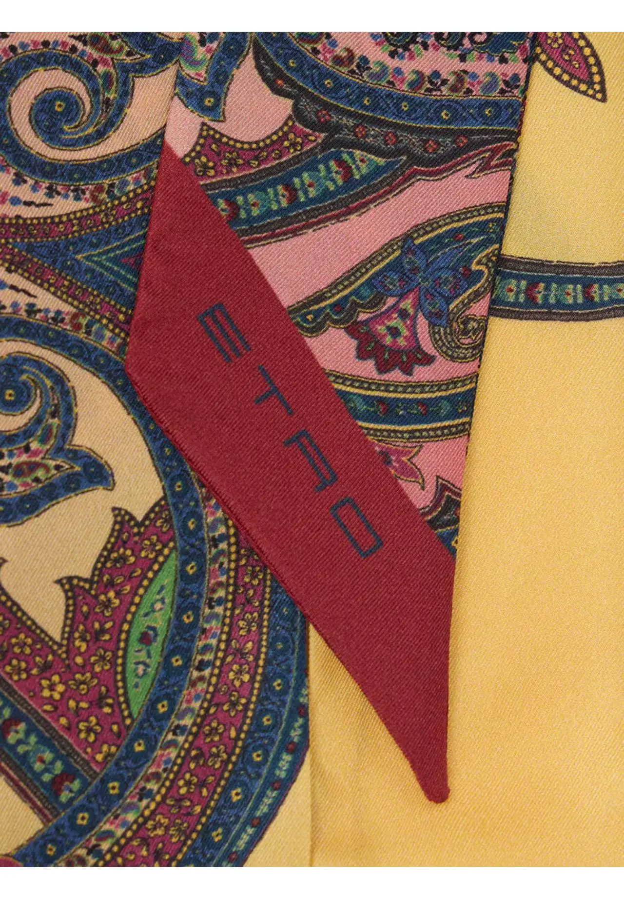  Paisley Engineered Print Silk Twill Paisleyna