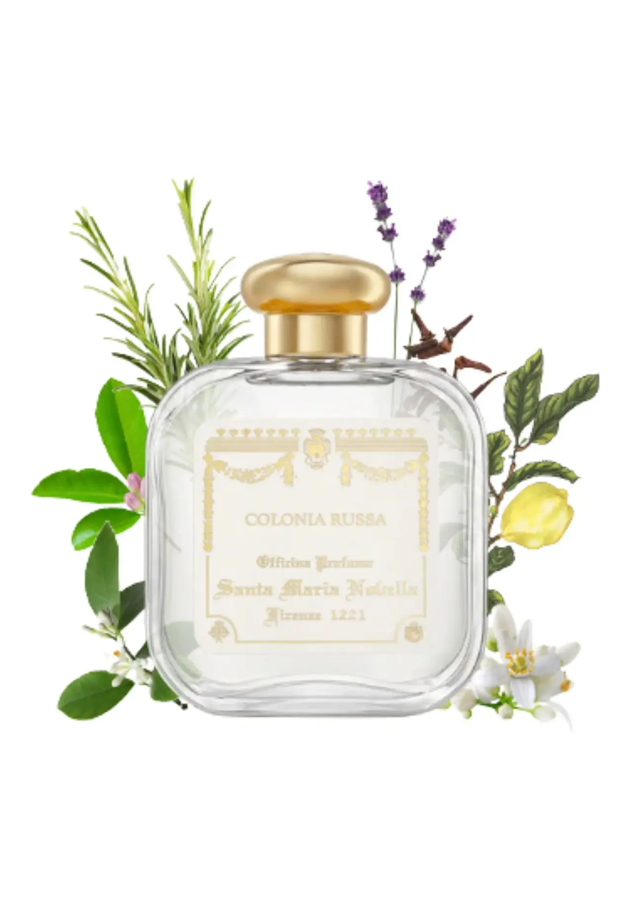 2点／ラサシ ハワス コブラ オーデパルファム 100ml／コロニア 20ml オーデコロン コロニア ルッサ 100ml | Matsuya Ginza
