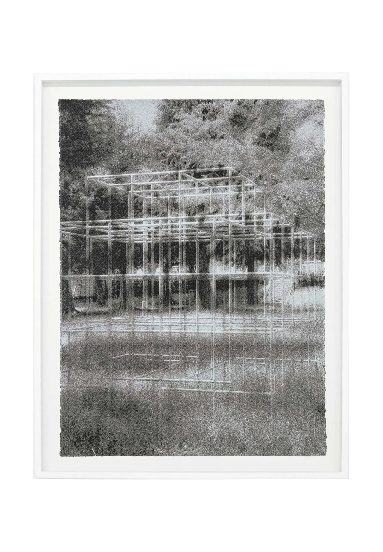 grain #2019-3