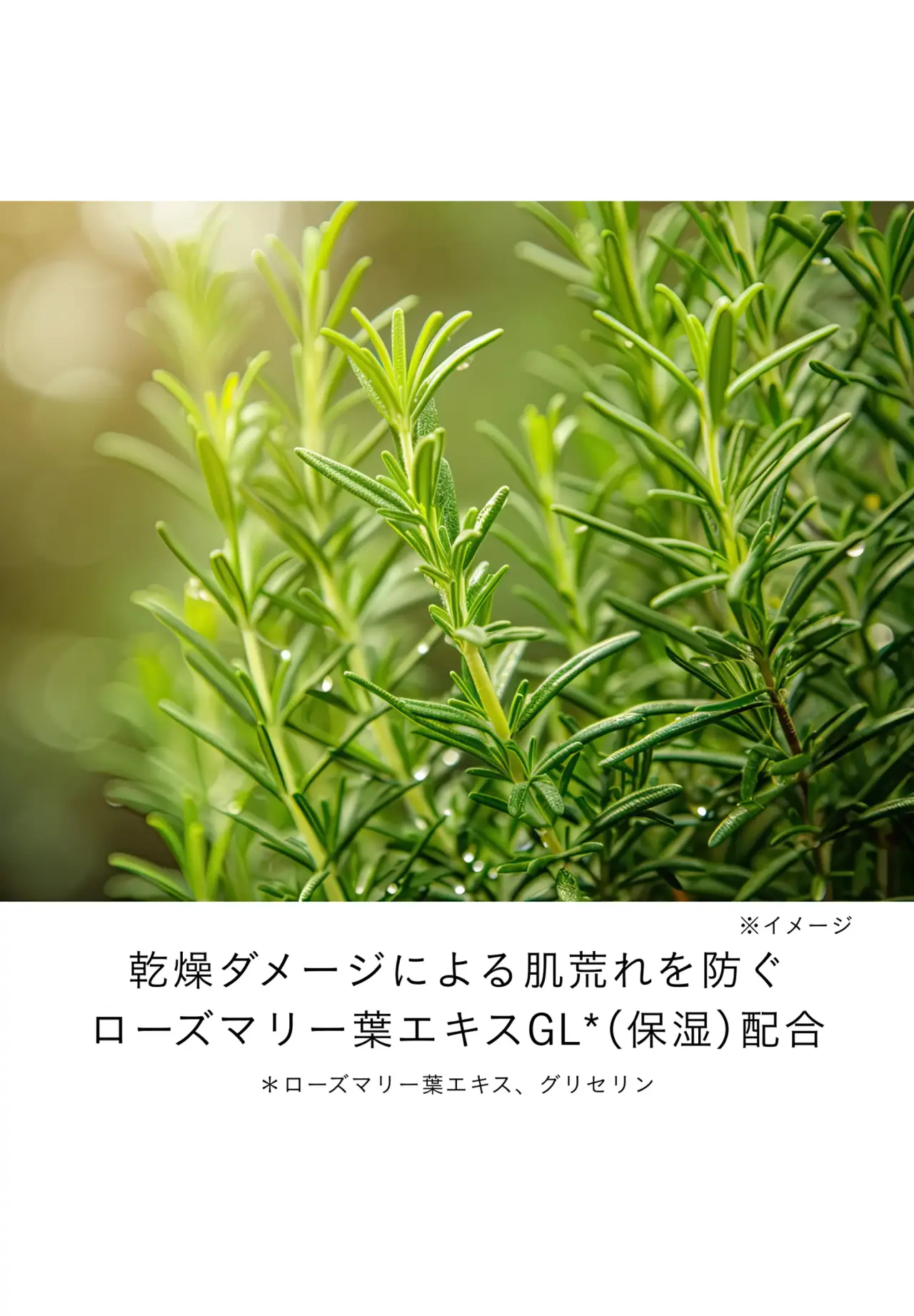 ローションエサンシエルＡ　ミニ 75ml