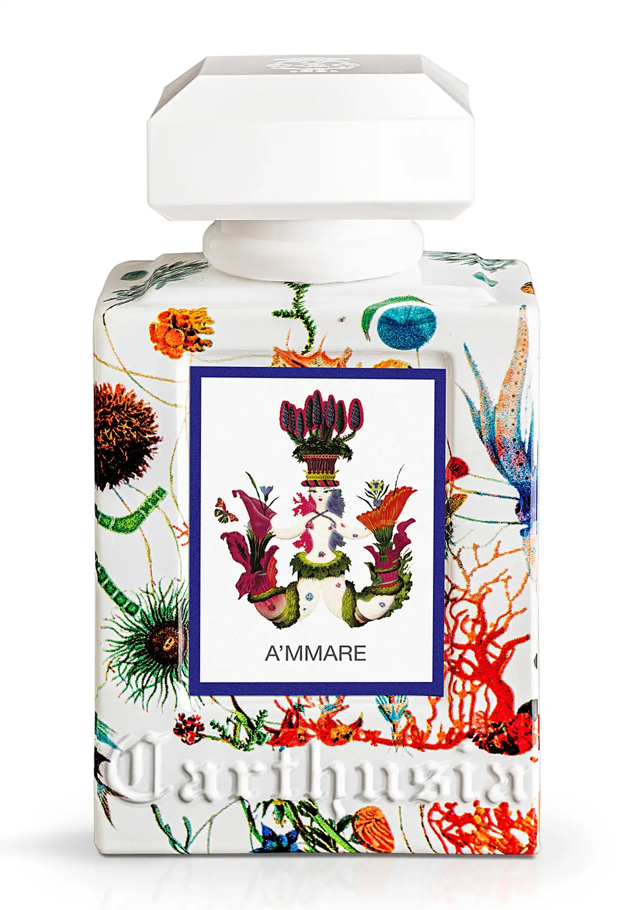 A'MMARE 香水 50ml