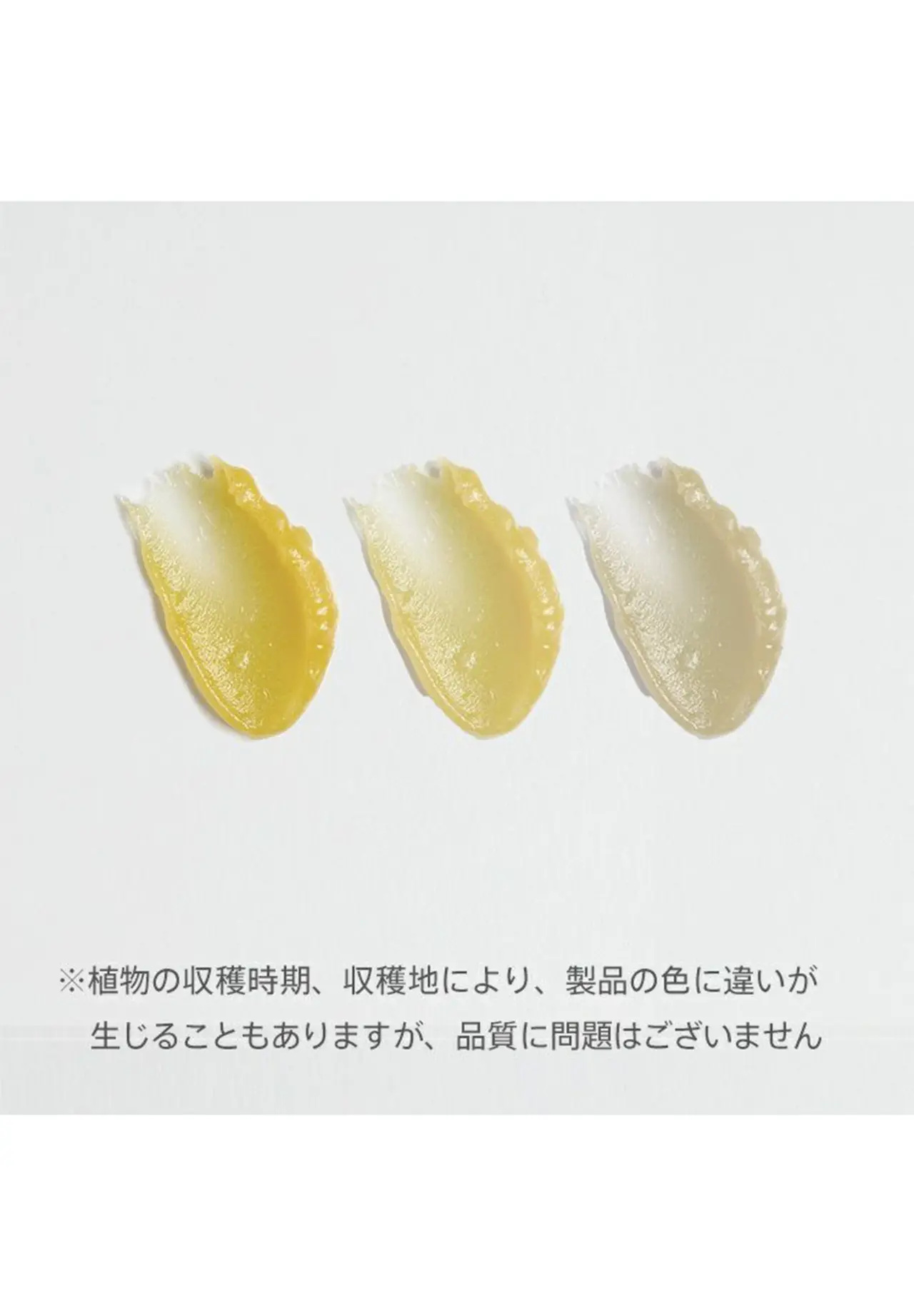 ワイルドローズ ビューティバーム 50g | Matsuya Ginza