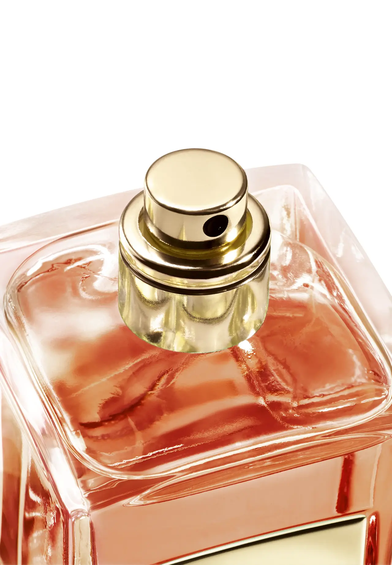 アルマーニ プリヴェ サンタル ダン シャ 100ml | Matsuya Ginza