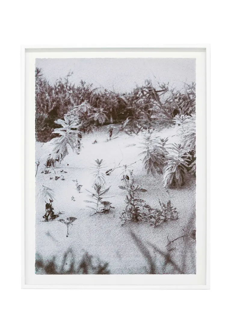 grain #2019-6