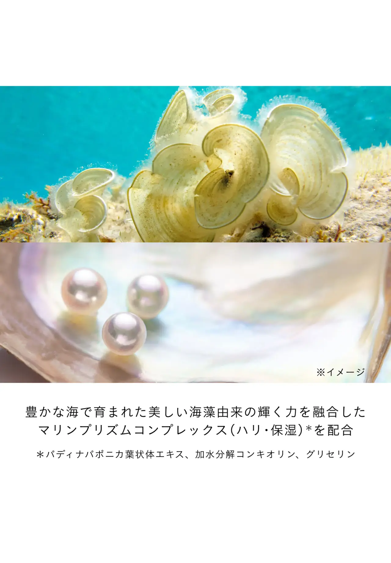 アンベリスールデクラ 40g