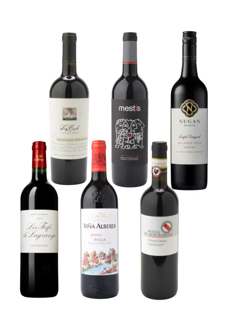 Around the World Full-Bodied Red Wine Tasting Set of 6