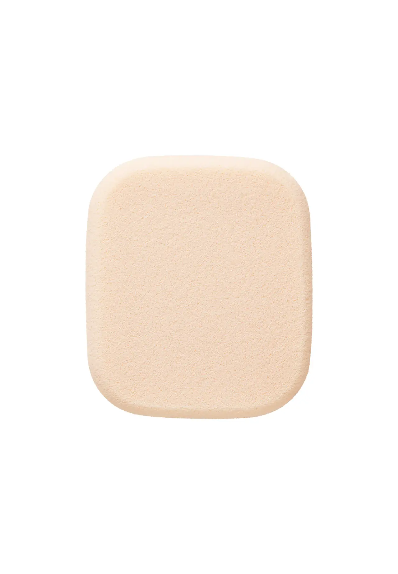 Powder Foundation Sponge II