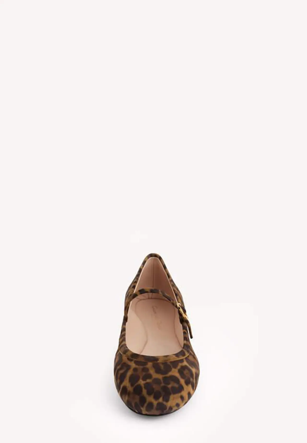 CARLA LEOPARD