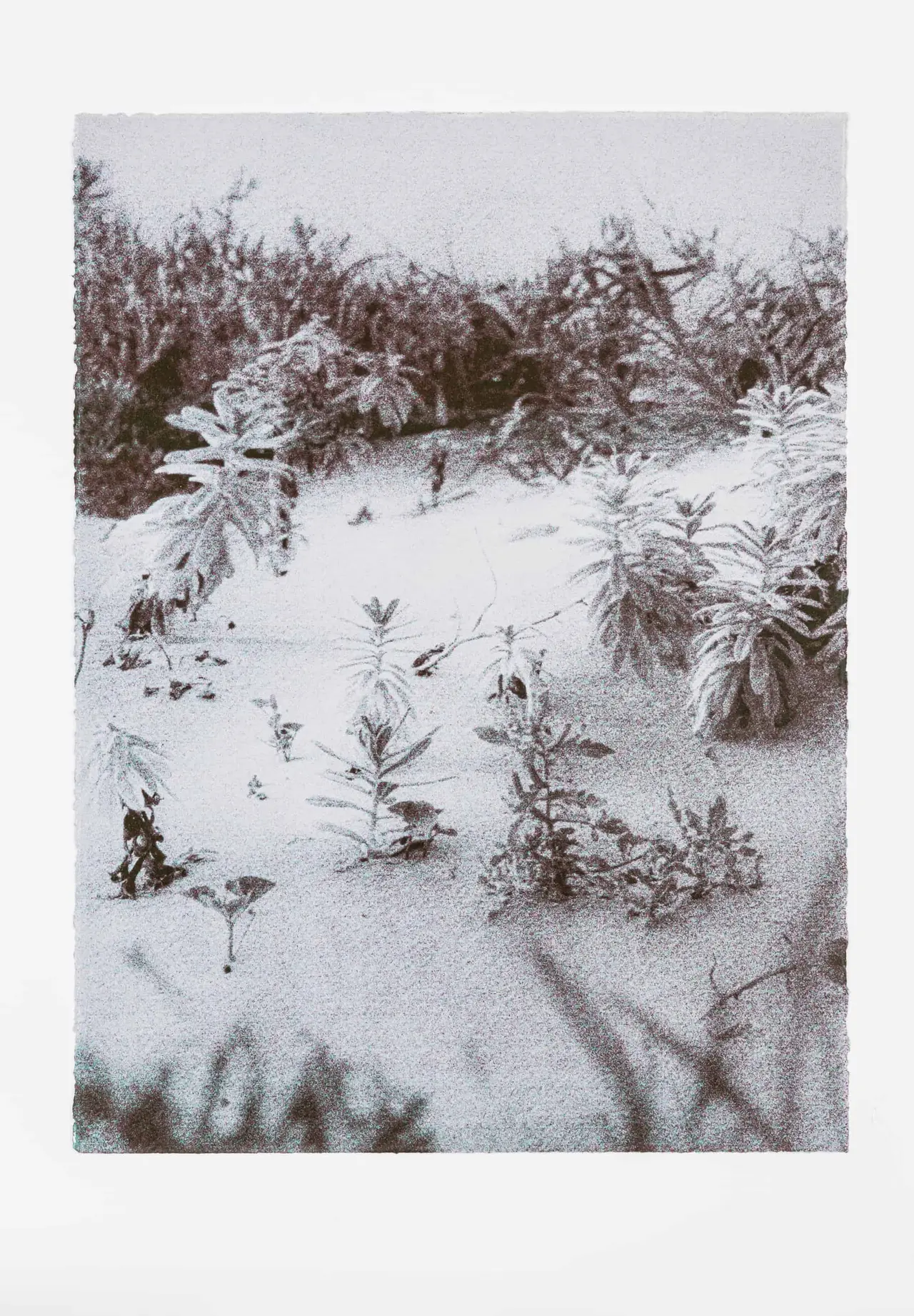 grain #2019-6 