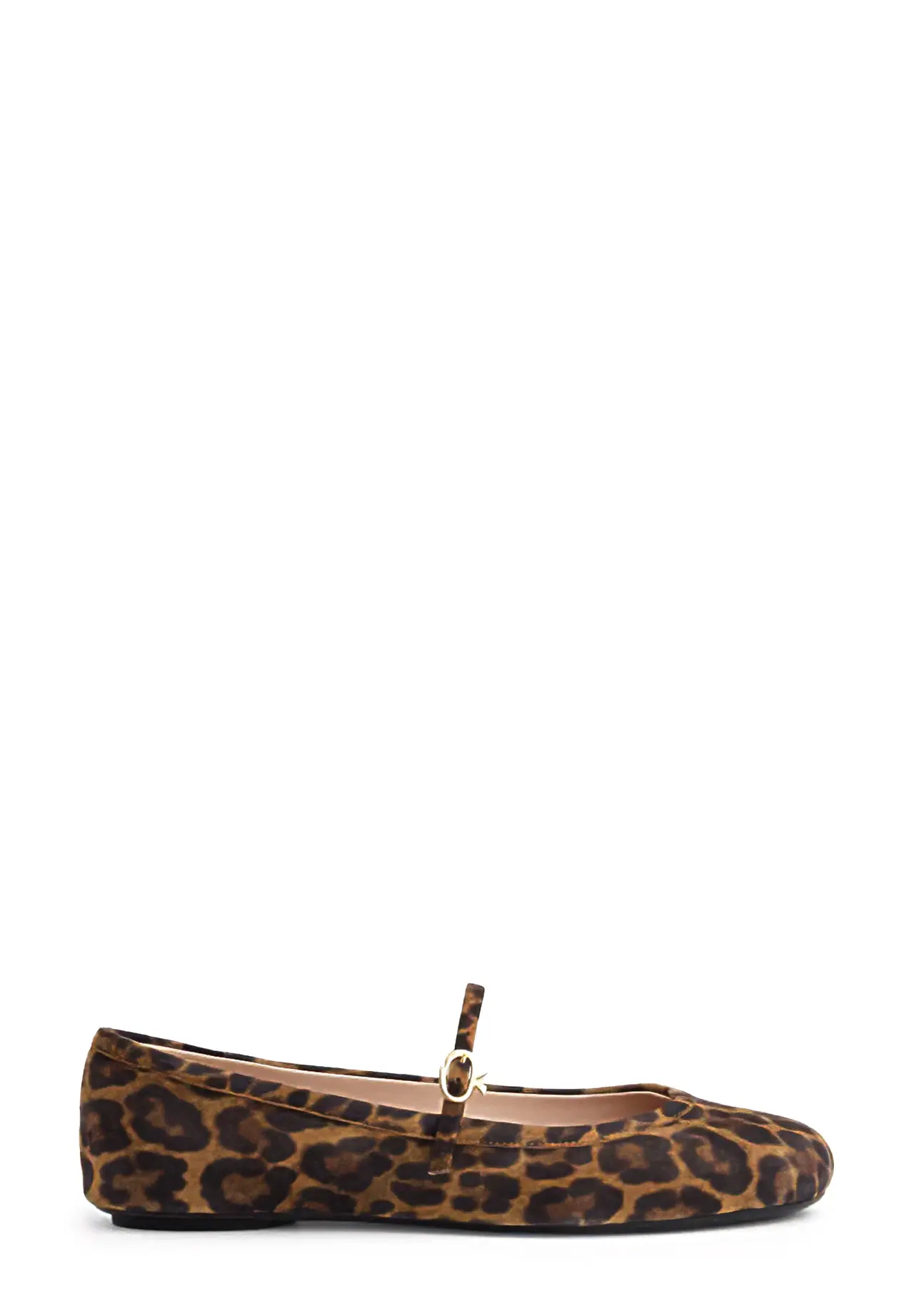 CARLA LEOPARD