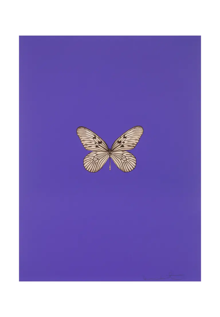 Damien Hirst アート 商品一覧 | Matsuya Ginza