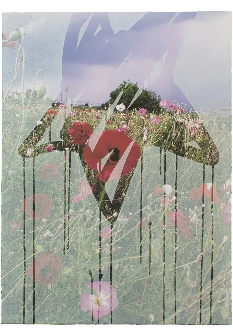 poppy-E 