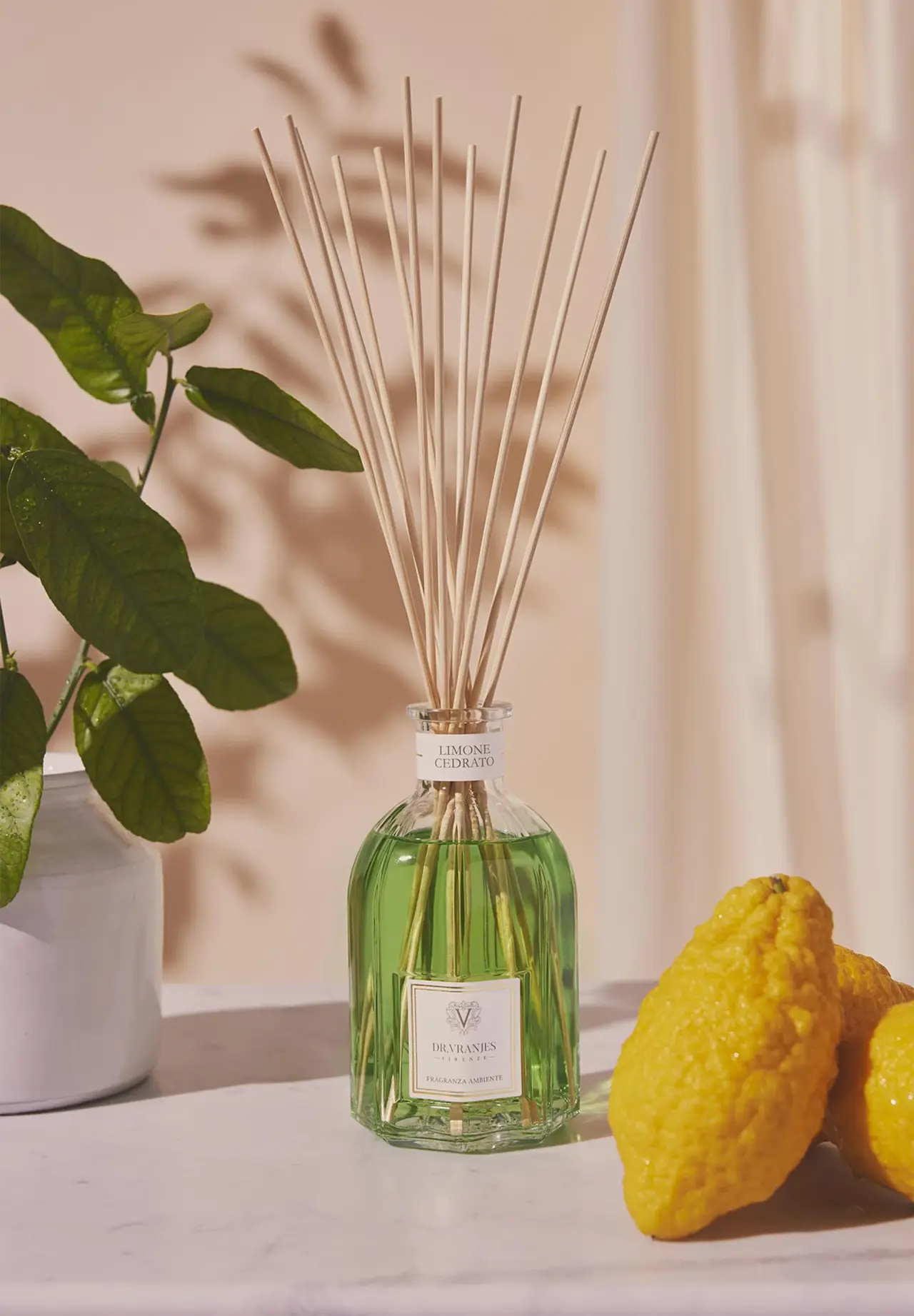LIMONE CEDRATO〈リモーネ チェドラート〉DIFFUSER 250ml | Matsuya Ginza
