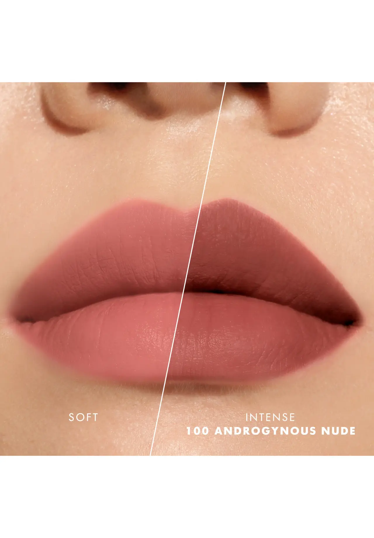Lip Maestro N