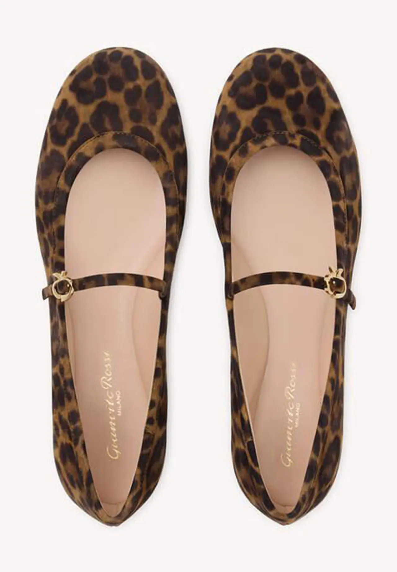 CARLA LEOPARD