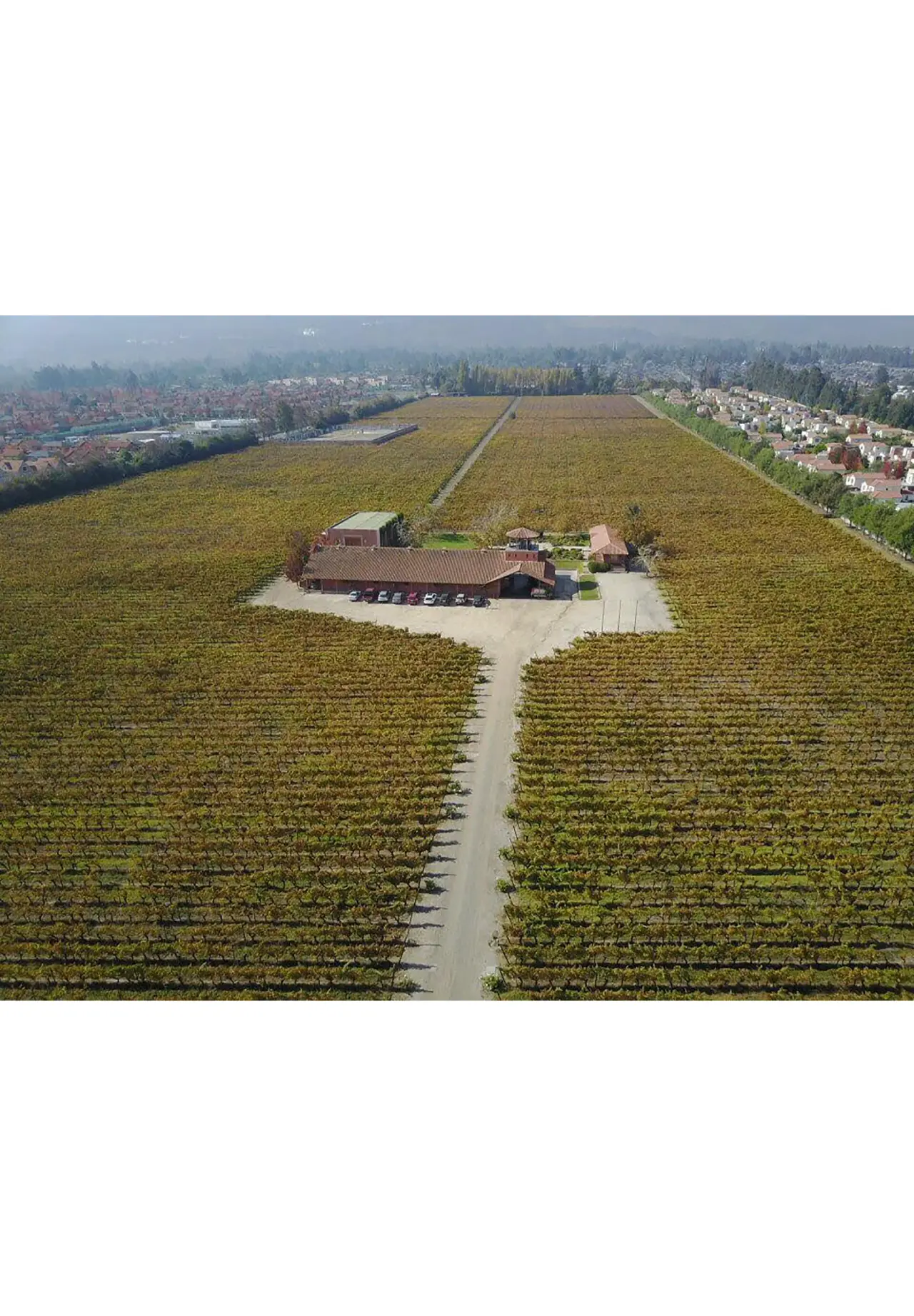 Vina Aquitania Carmenere 2024 阿基塔尼亚 · 卡门内尔红葡萄酒 750ml