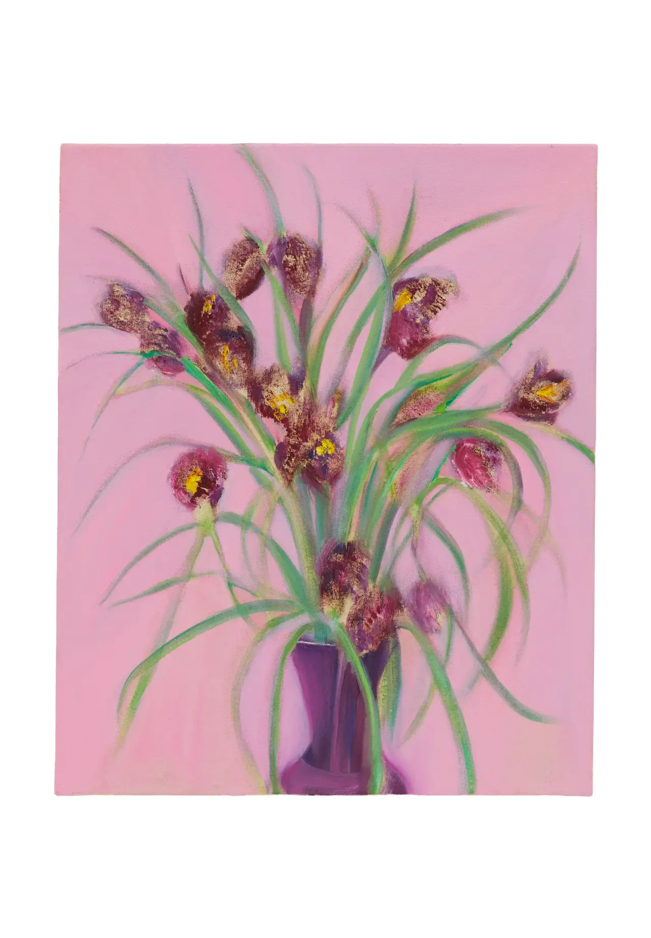 Fritillaria