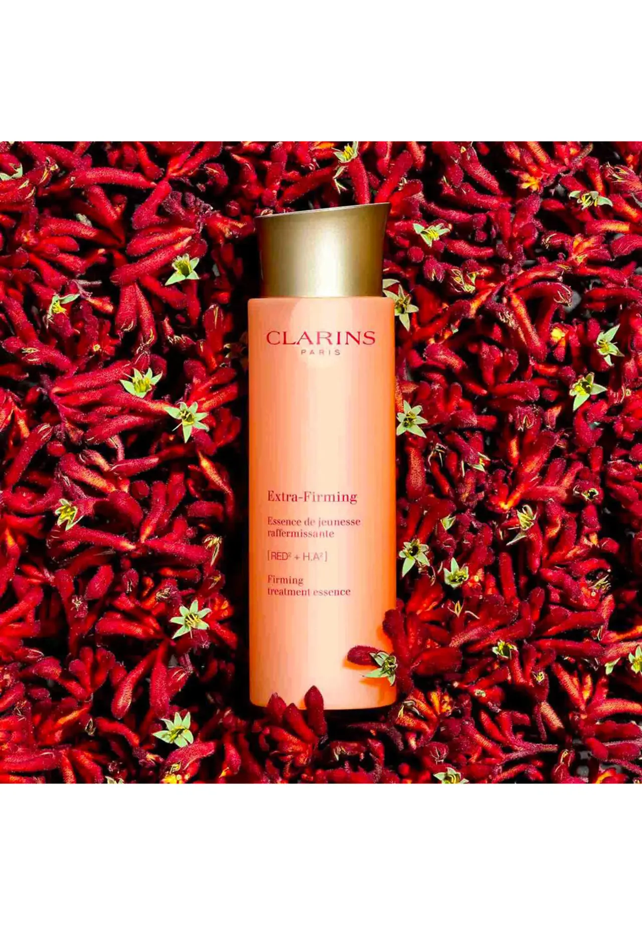 Firming EX Treatment Essence Lotion N 200ml