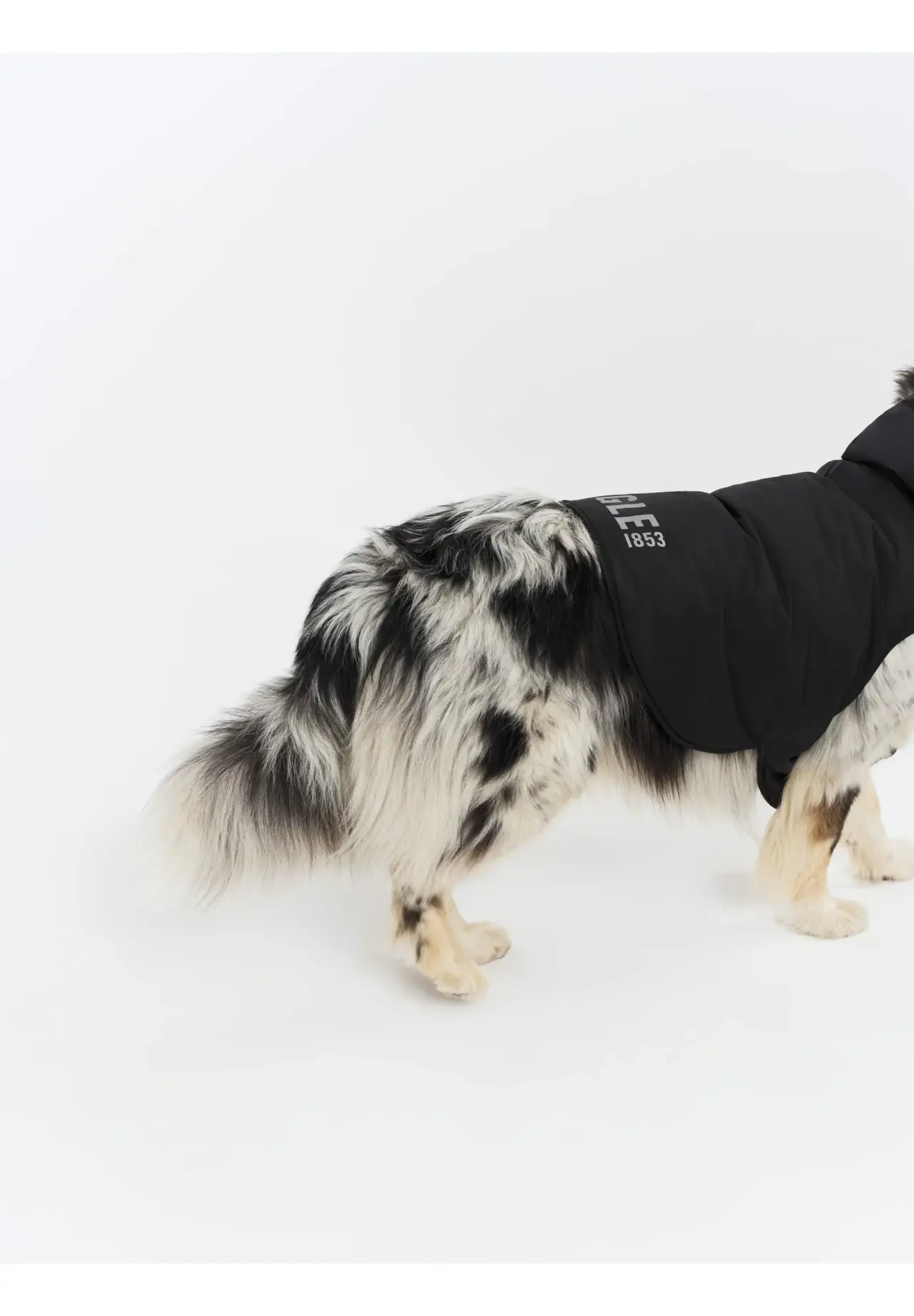 WARM RAINPACK