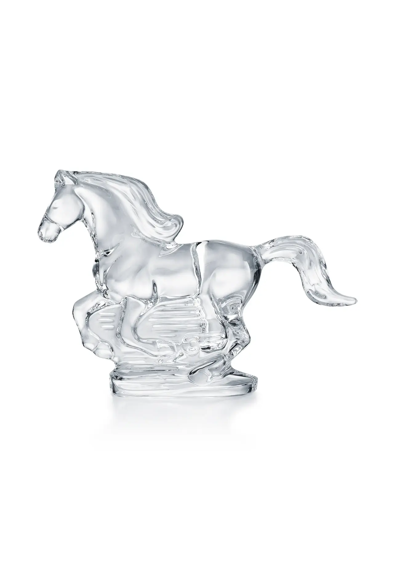 Zodiac Horse