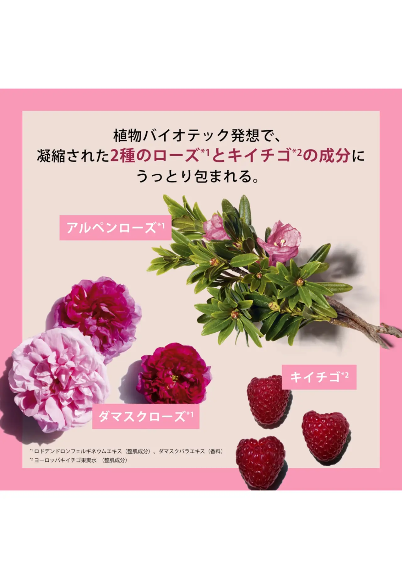フィックス メイクアップ N 50ml