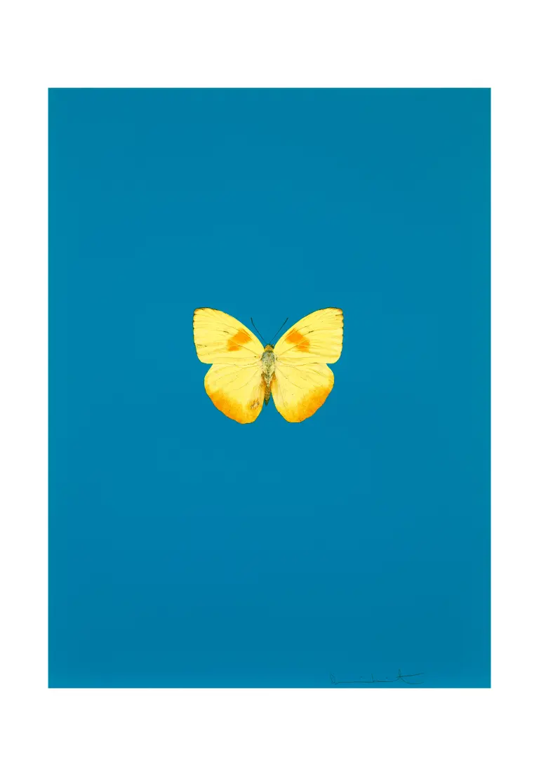 Damien Hirst アート 商品一覧 | Matsuya Ginza