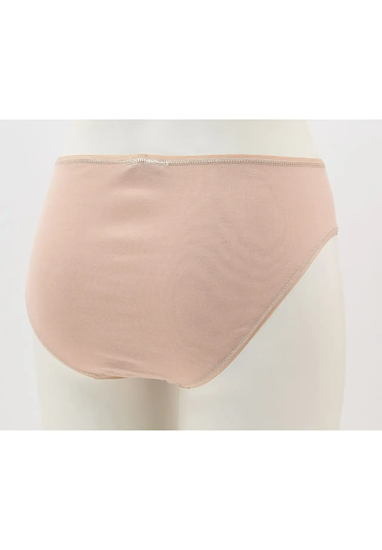 Briefs