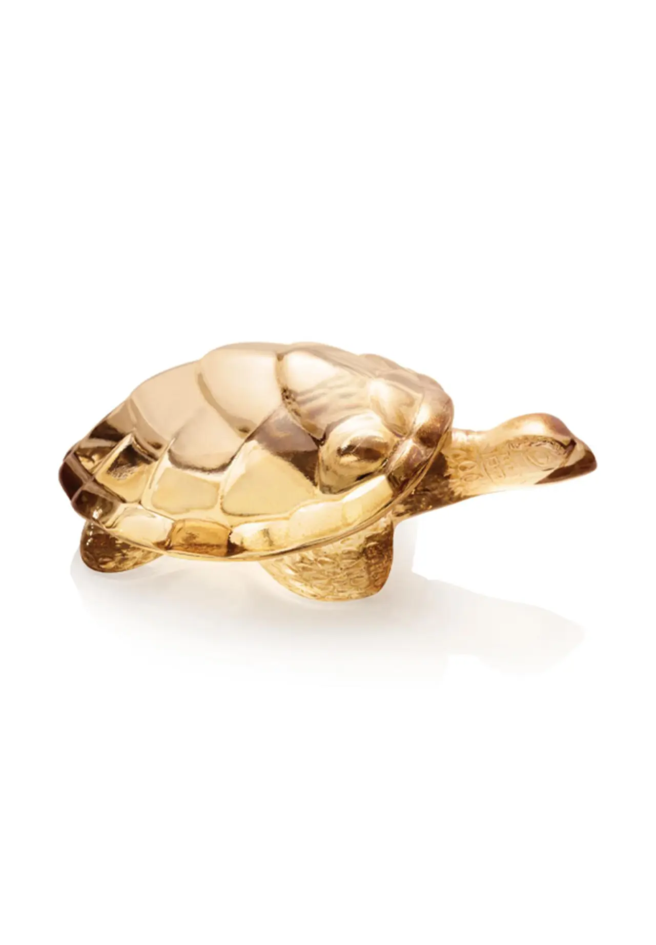Tortue Caroline Objet
