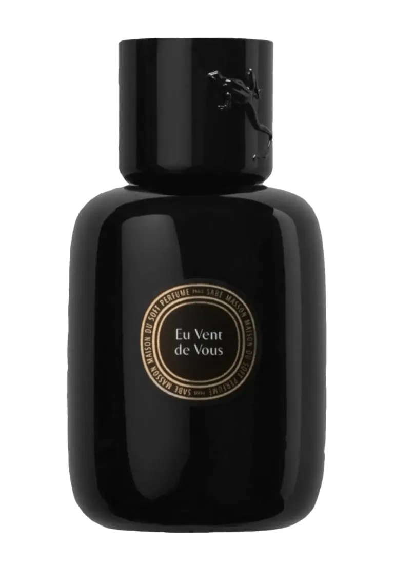 SOFT PERFUME LIQUIDE 100ML EU VENT DE VOUS 100ml