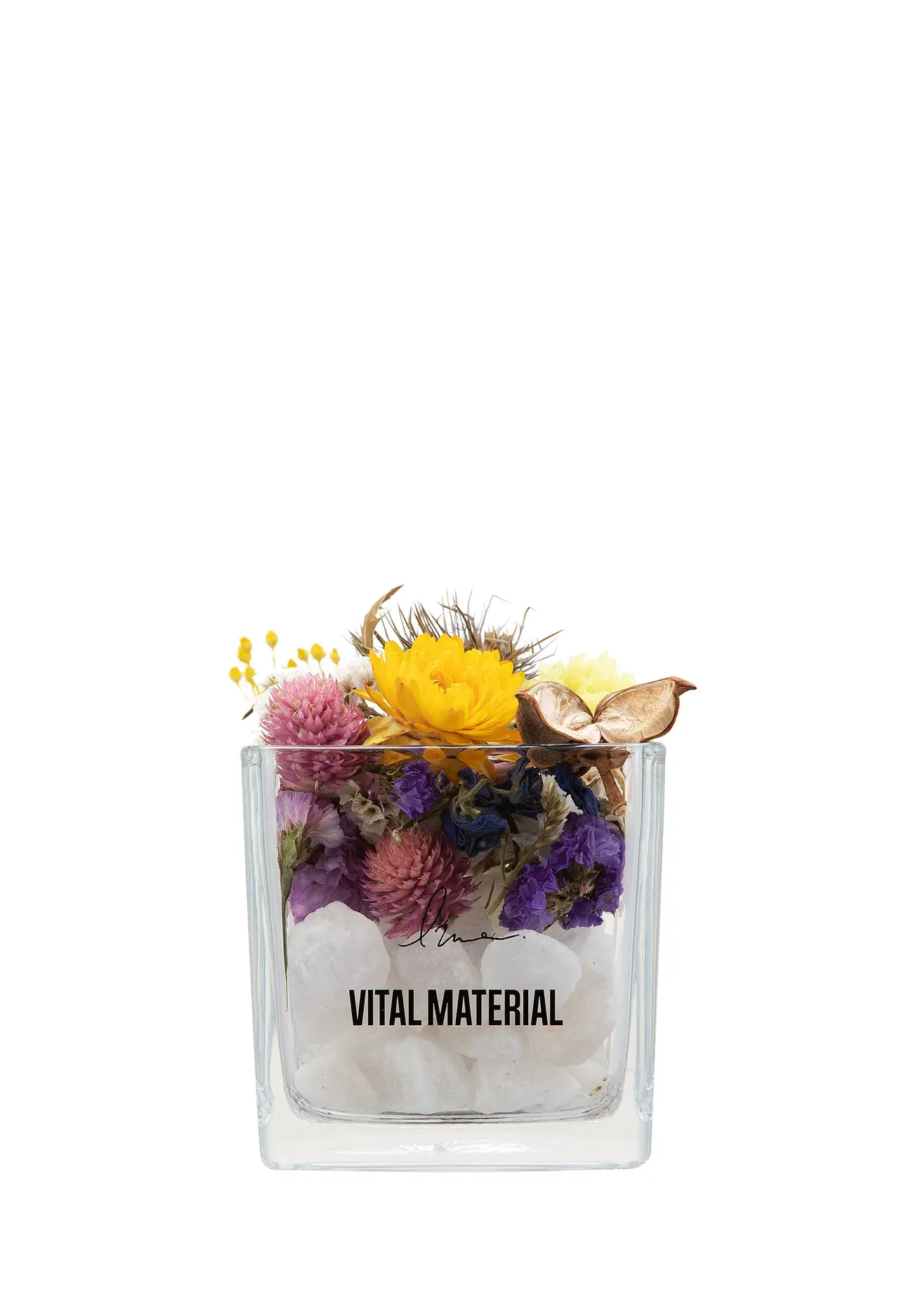 VITAL MATERIAL × Ivre 花博客斯（泼普里）10g