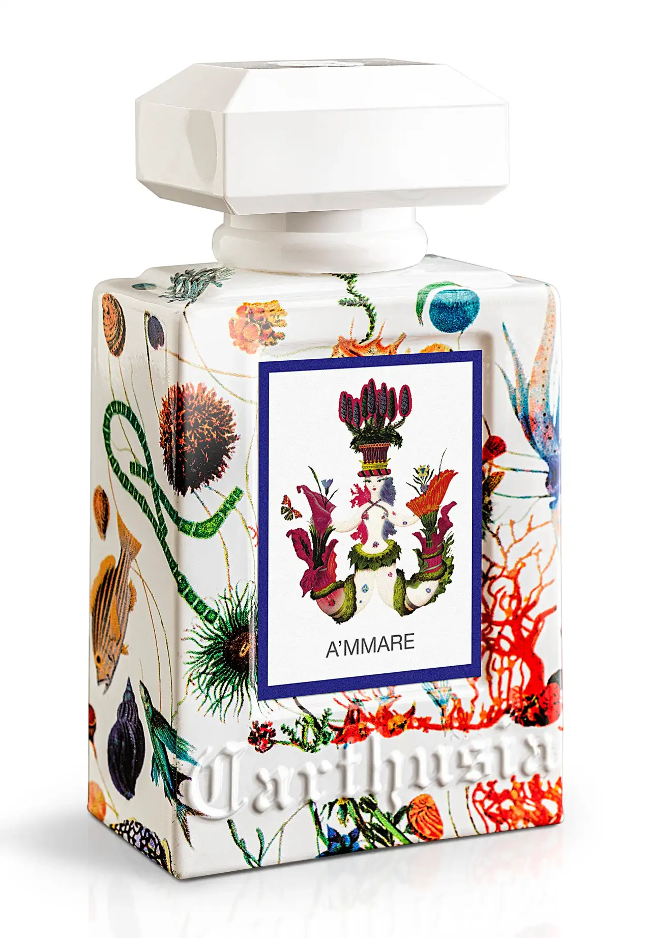 A'MMARE 香水 50ml