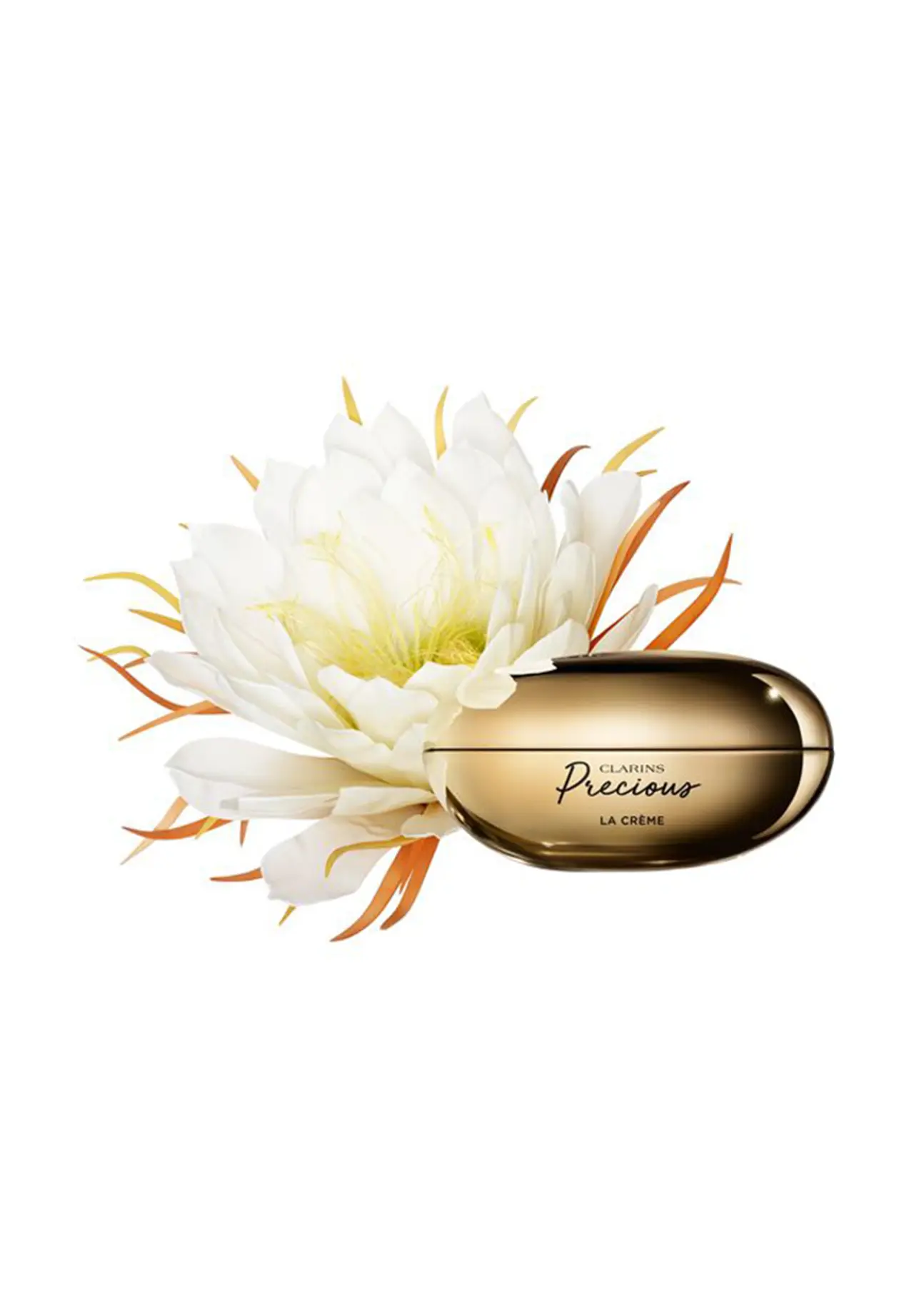 クラランスプレシャス ラ クレーム 50ml | Matsuya Ginza