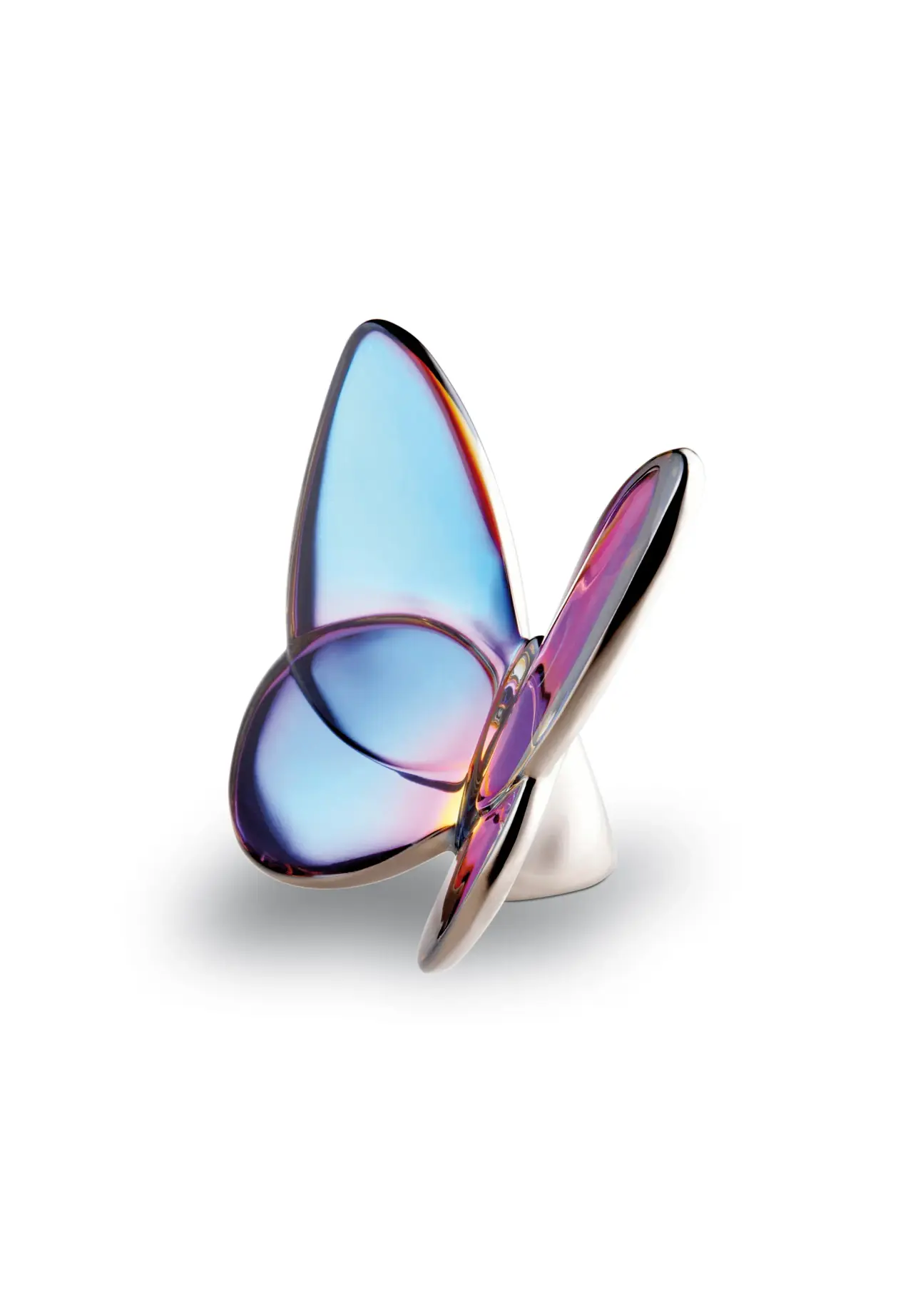 Lucky Butterfly