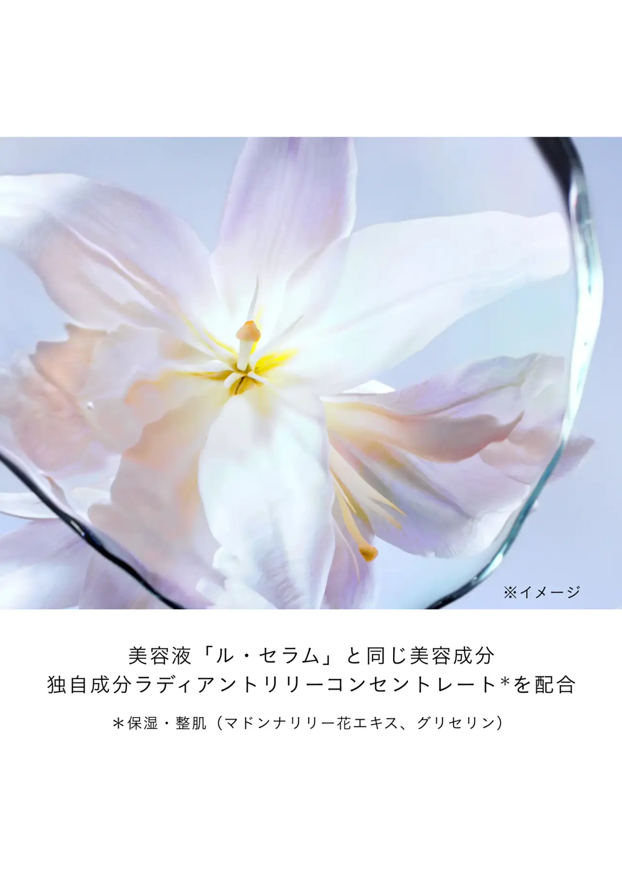 アンベリスールデクラ 40g