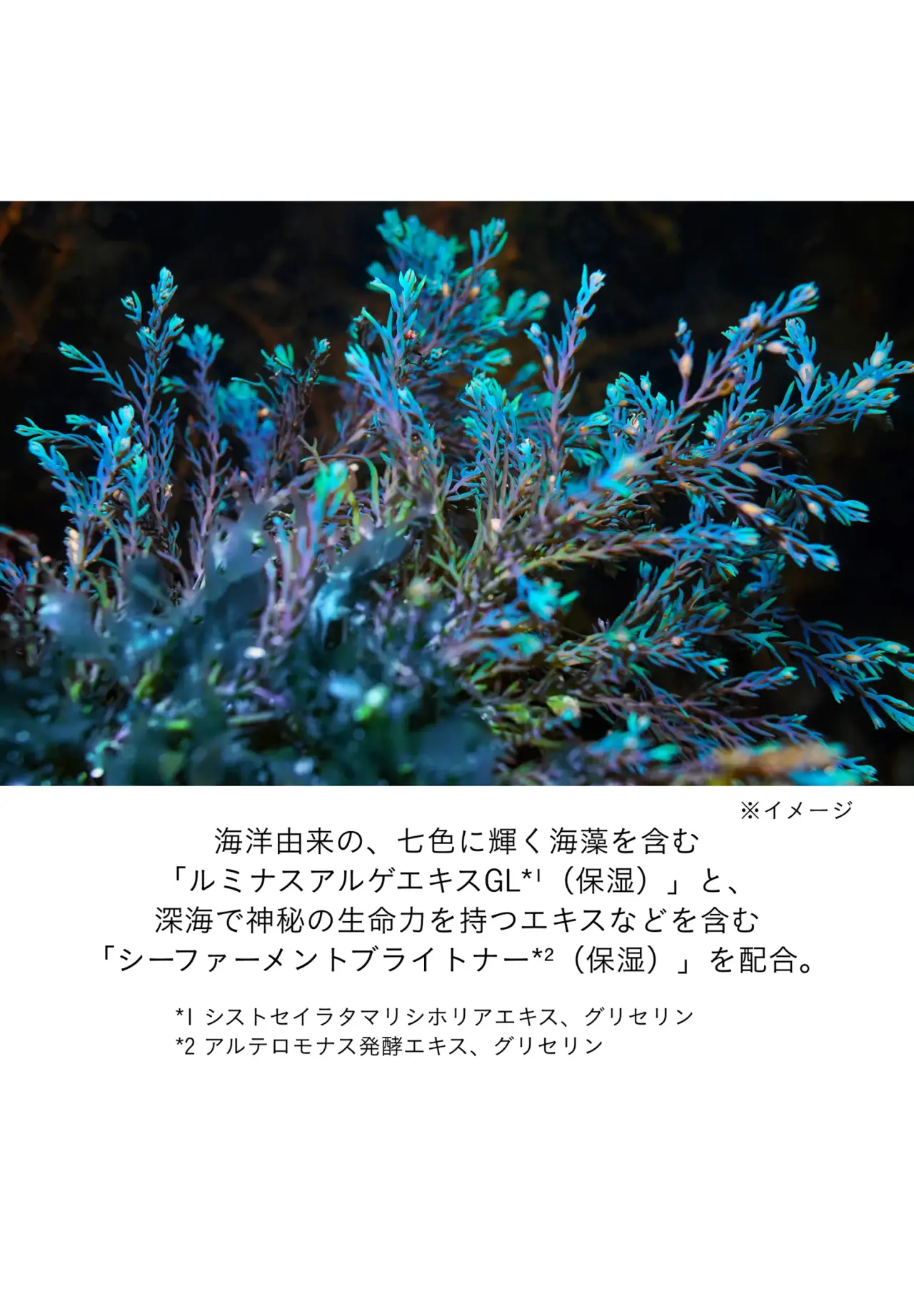 美白精华 II (医药部外品) 40ml