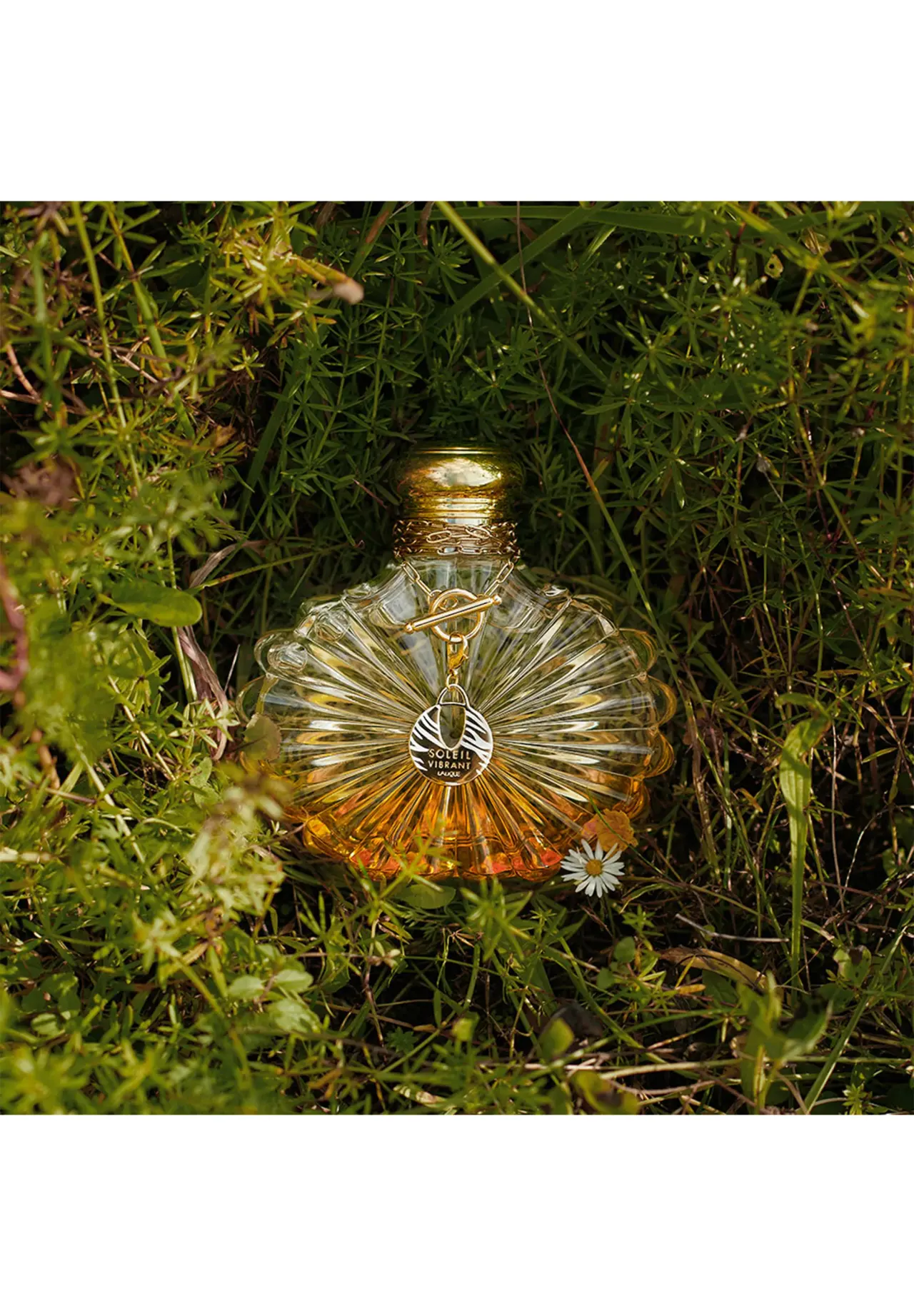 ソレイユ ヴィブラント オードパルファム 100ml