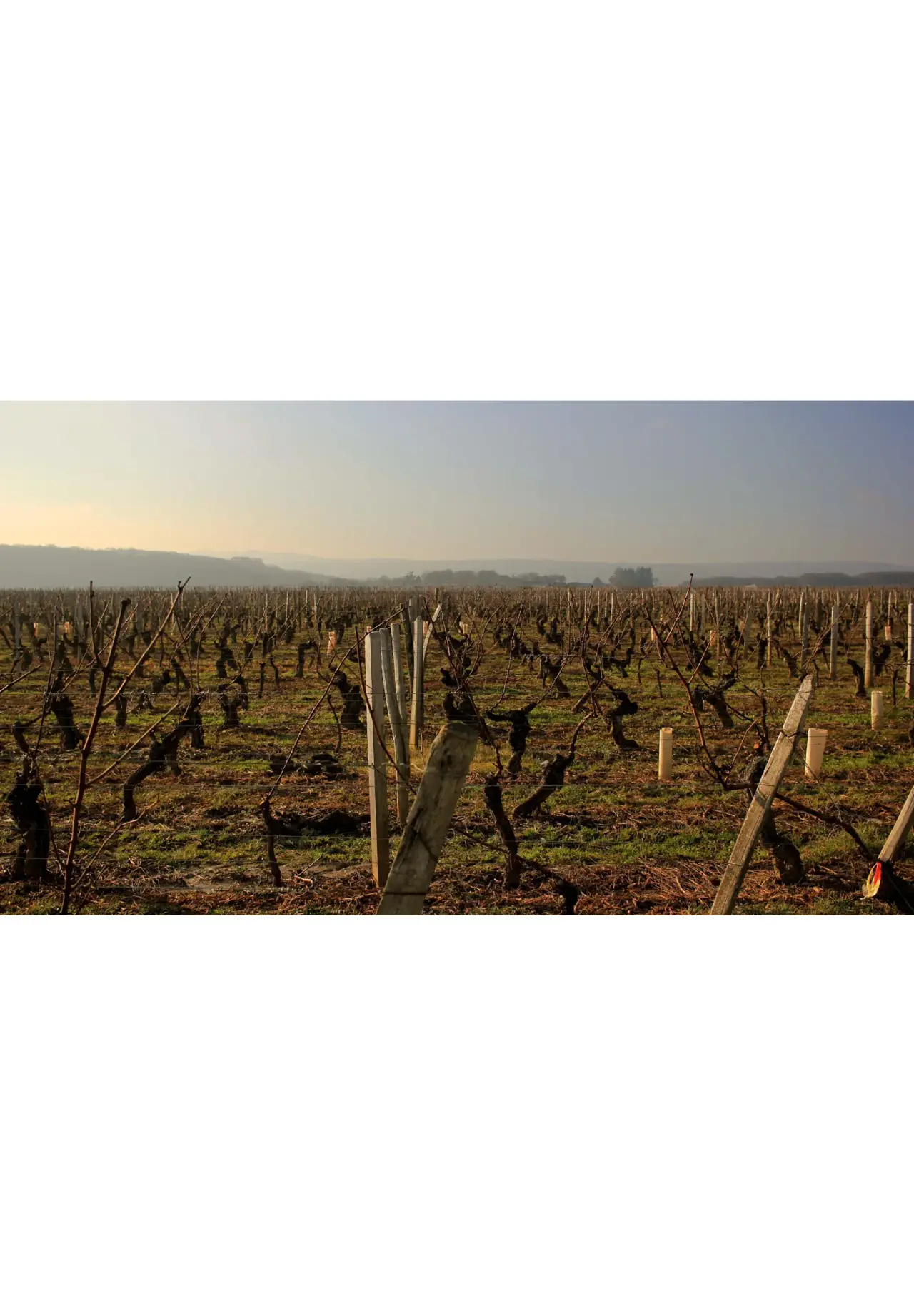 Cave de Lugny Bourgogne Pinot Noir 卢尼酒窖 · 勃艮第黑皮诺红葡萄酒 750ml