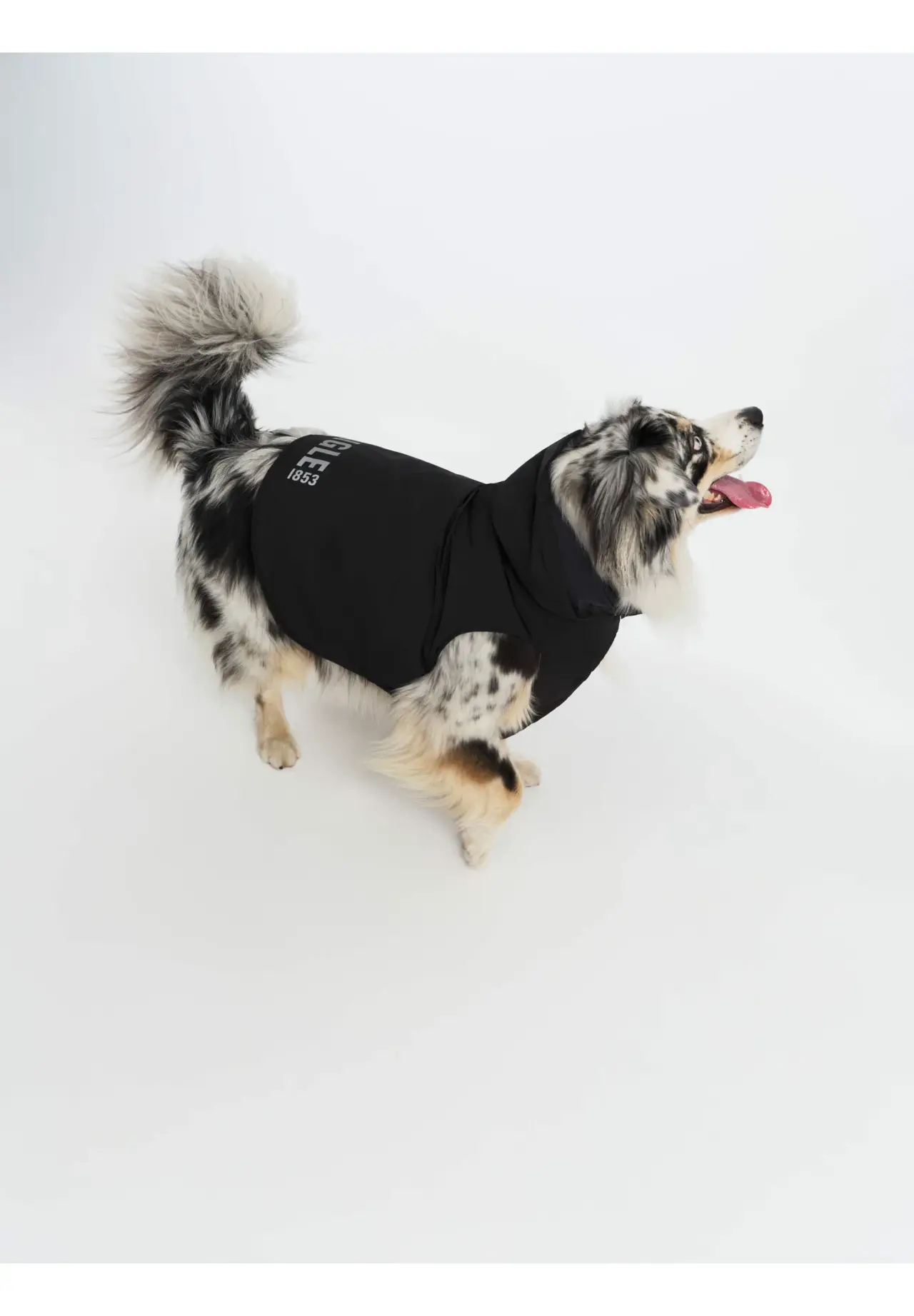 WARM RAINPACK