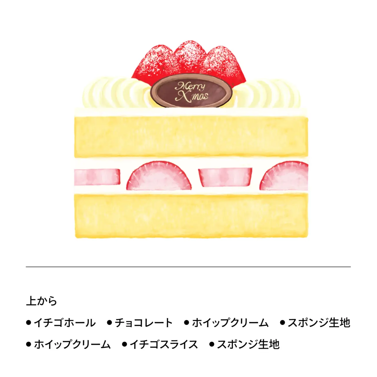 Christmas Strawberry Square Twin