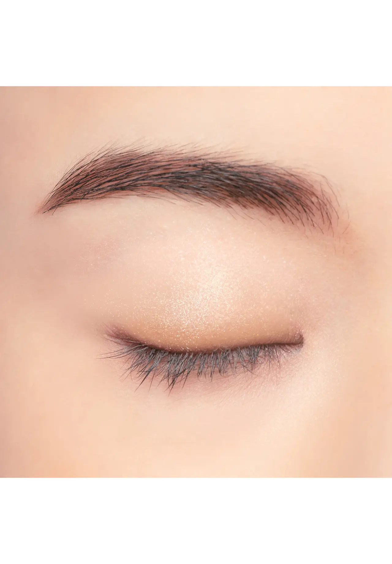 Chacott Eyeshadow Duo
