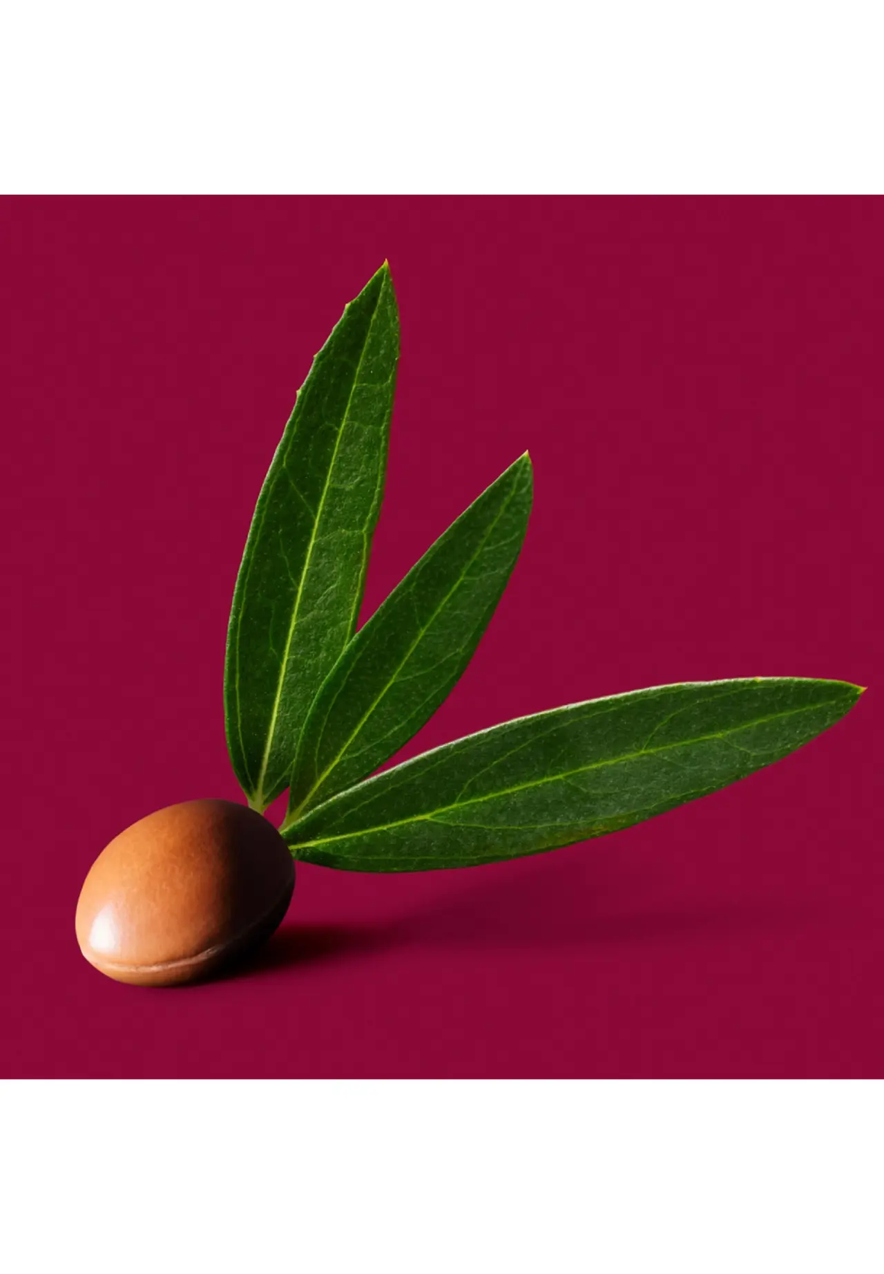 Argan Bio-Active Night Balm 50mL
