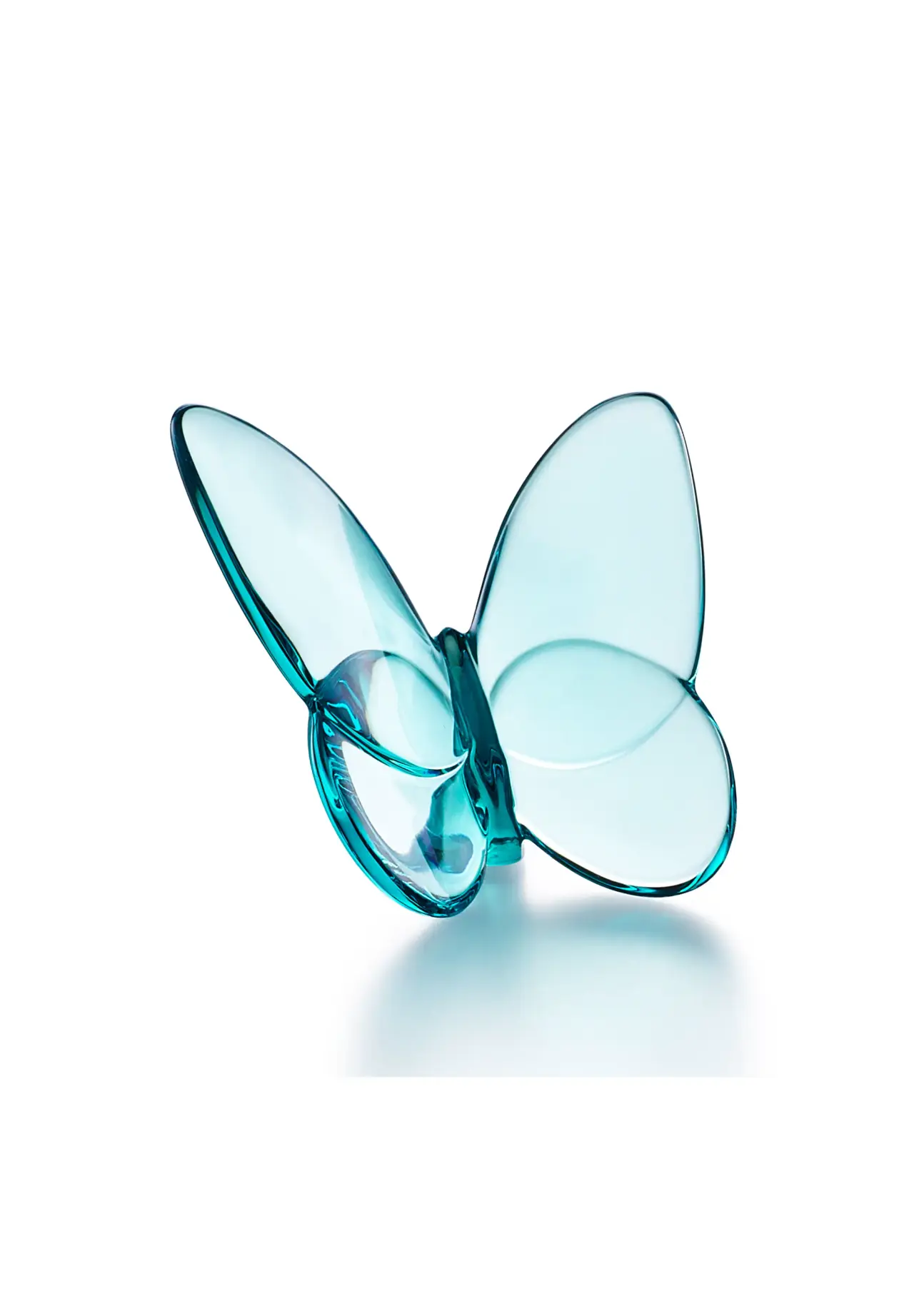 Lucky Butterfly