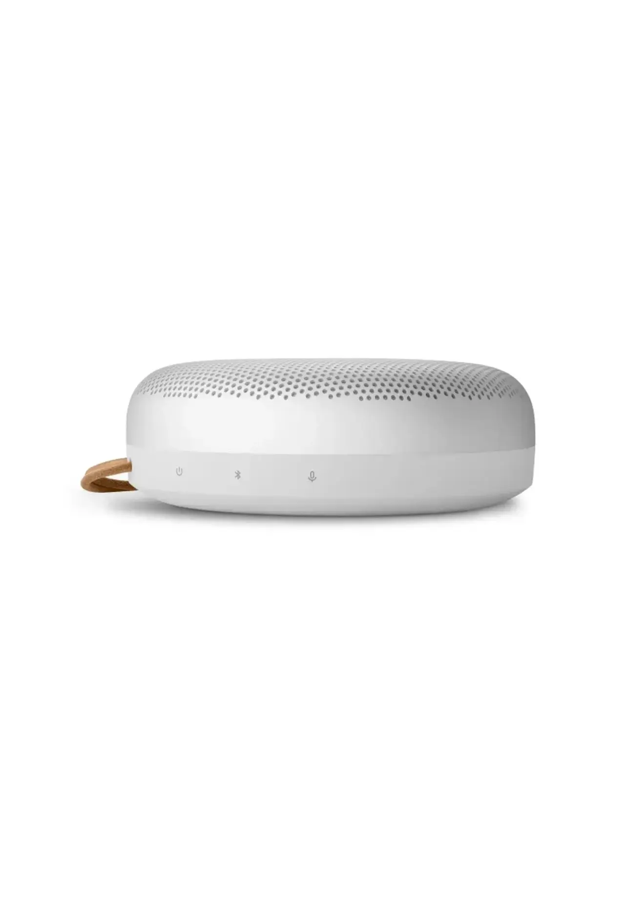 Beosound A1 3rd Gen 防水蓝牙音箱