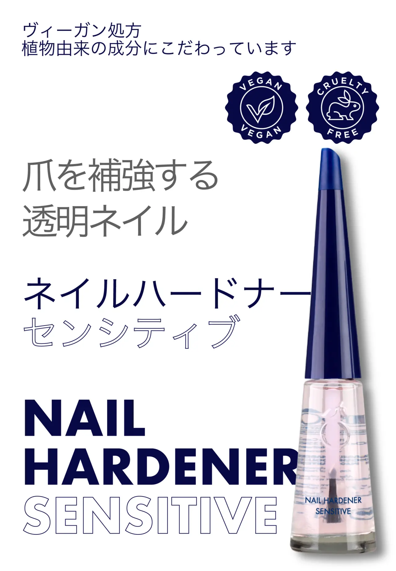 爪を鍛えるセット【センシティブ】