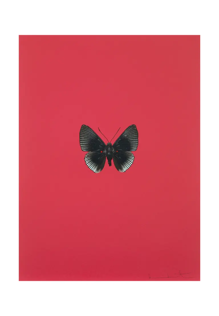 Damien Hirst アート 商品一覧 | Matsuya Ginza