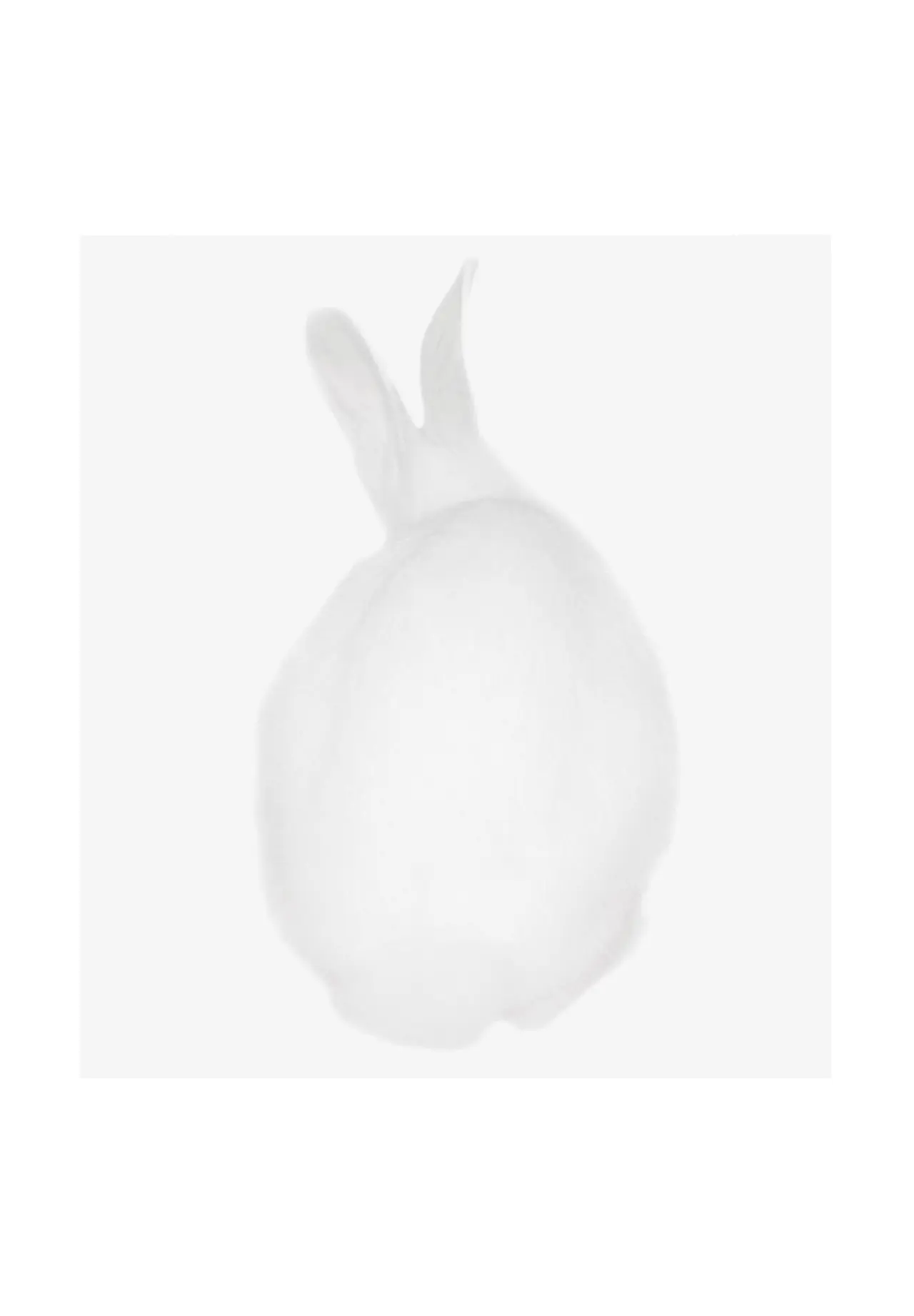 blanc (r)
