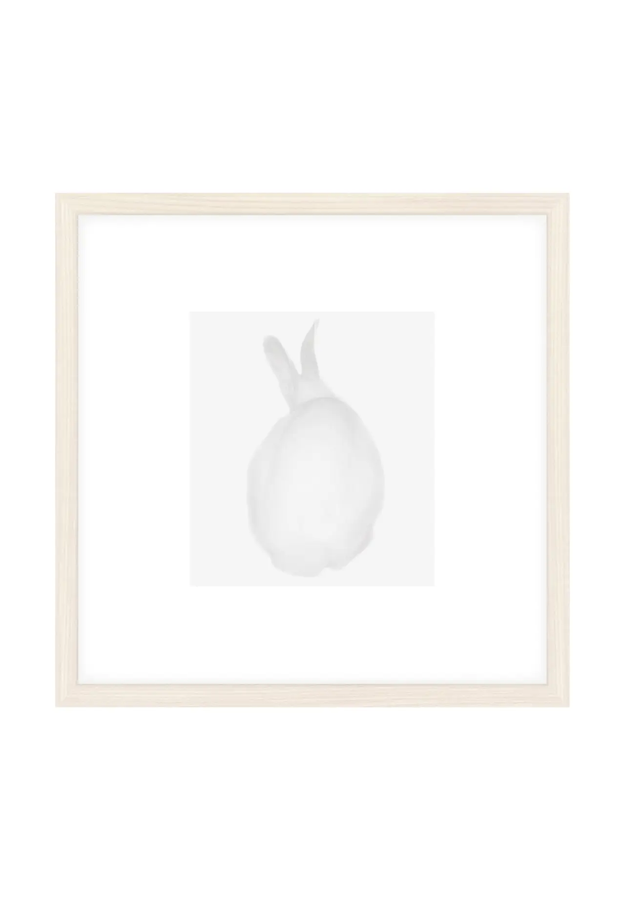 blanc (r)