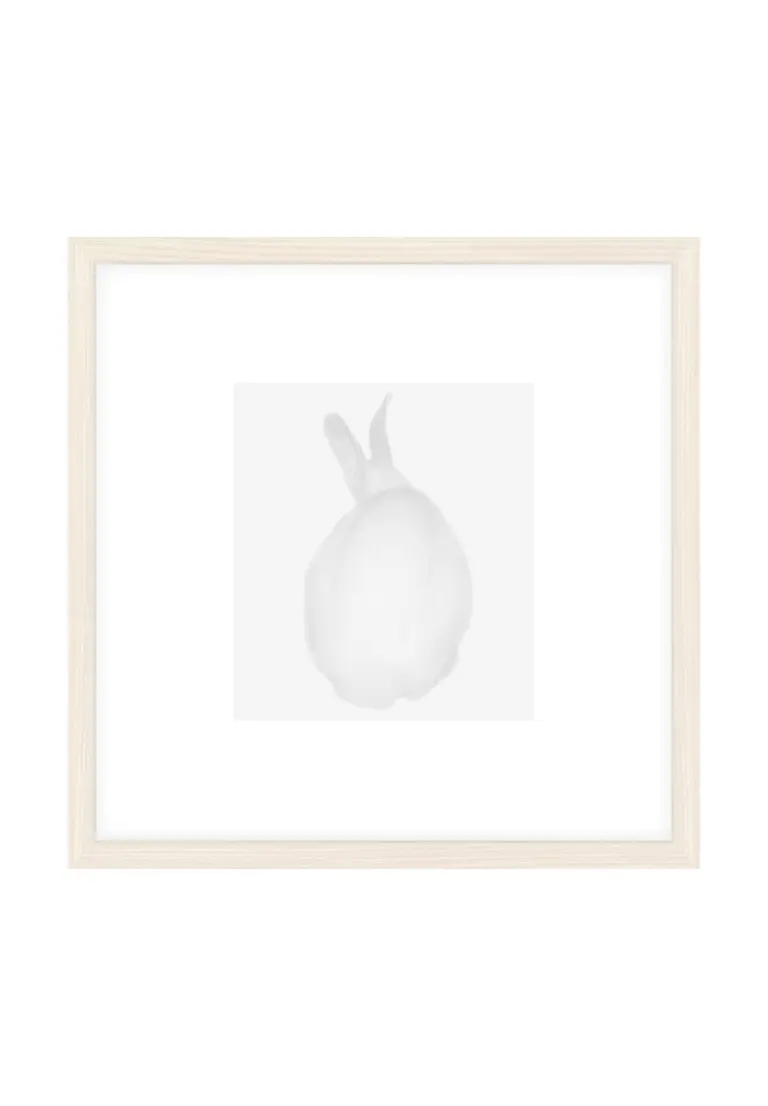 blanc (r)