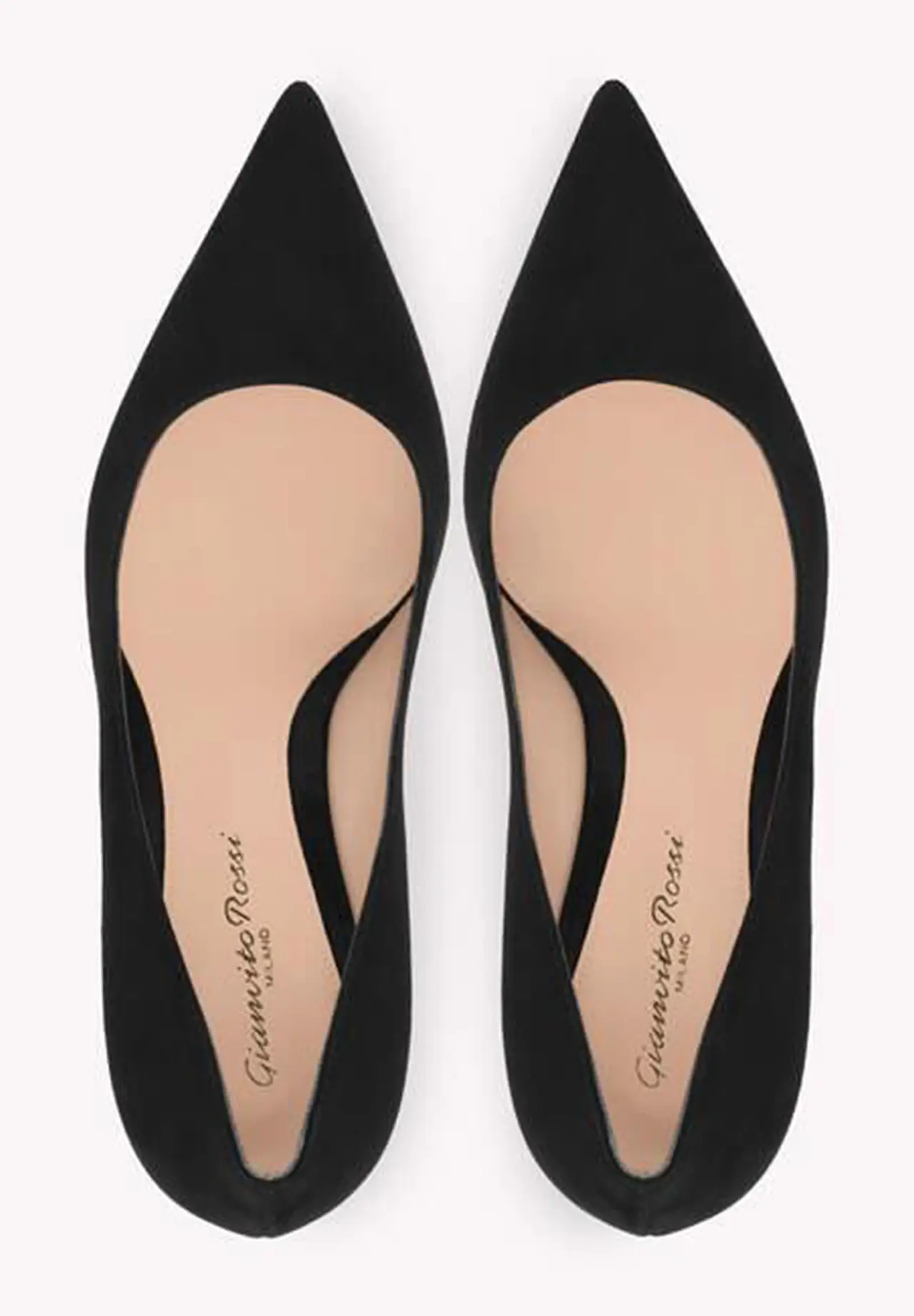 GIANVITO 55