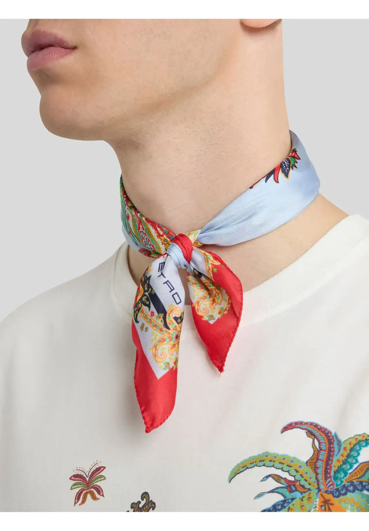  Parrot & Paisley Print Silk Pocket Square